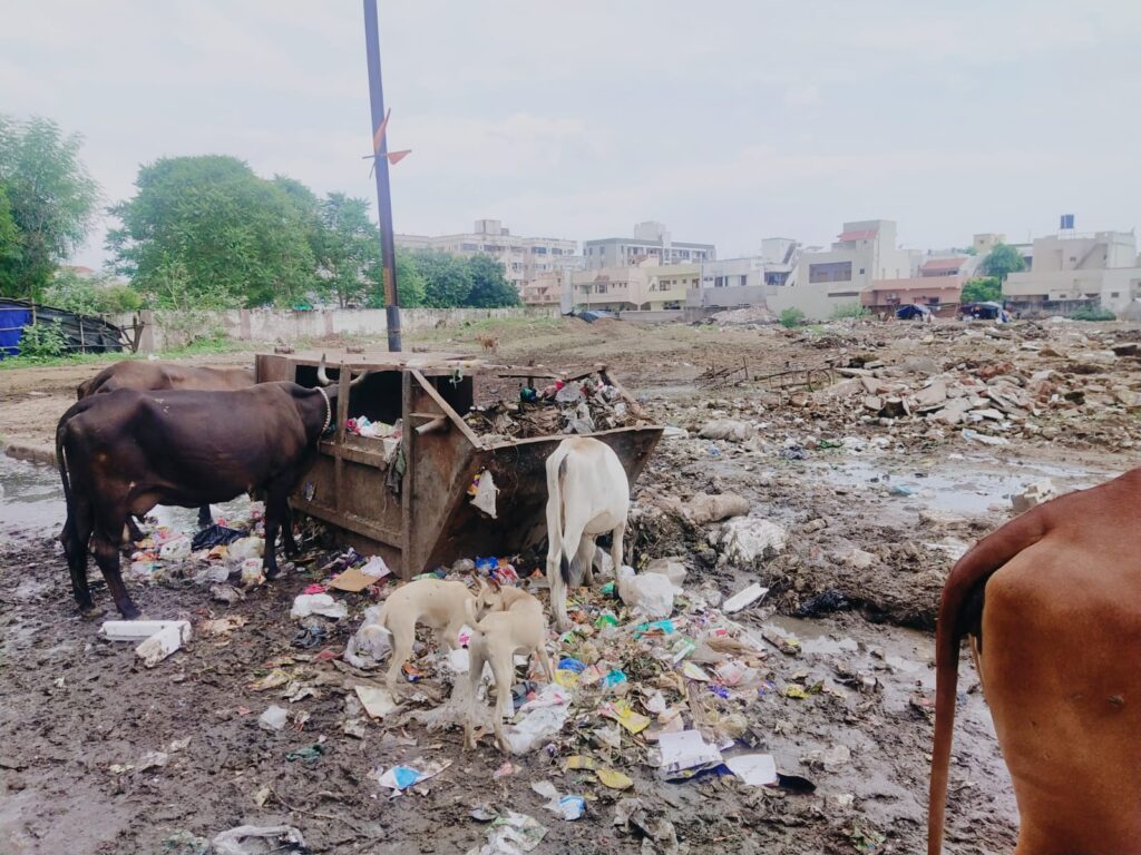 કલોલના દ્વારકેશ ફ્લેટ આગળ ગંદકીથી લોકોનું આરોગ્ય જોખમાયું