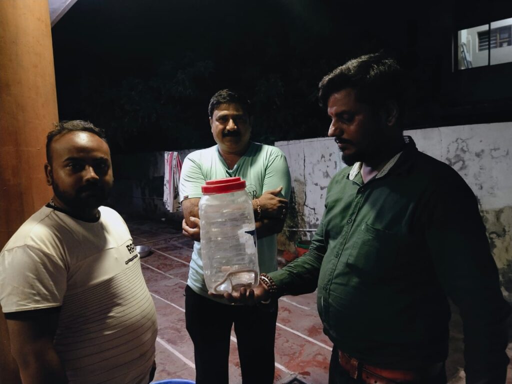કલોલની દ્વારકેશ નગર સોસાયટીમાં સાપ દેખાતા ભયનો માહોલ સર્જાયો