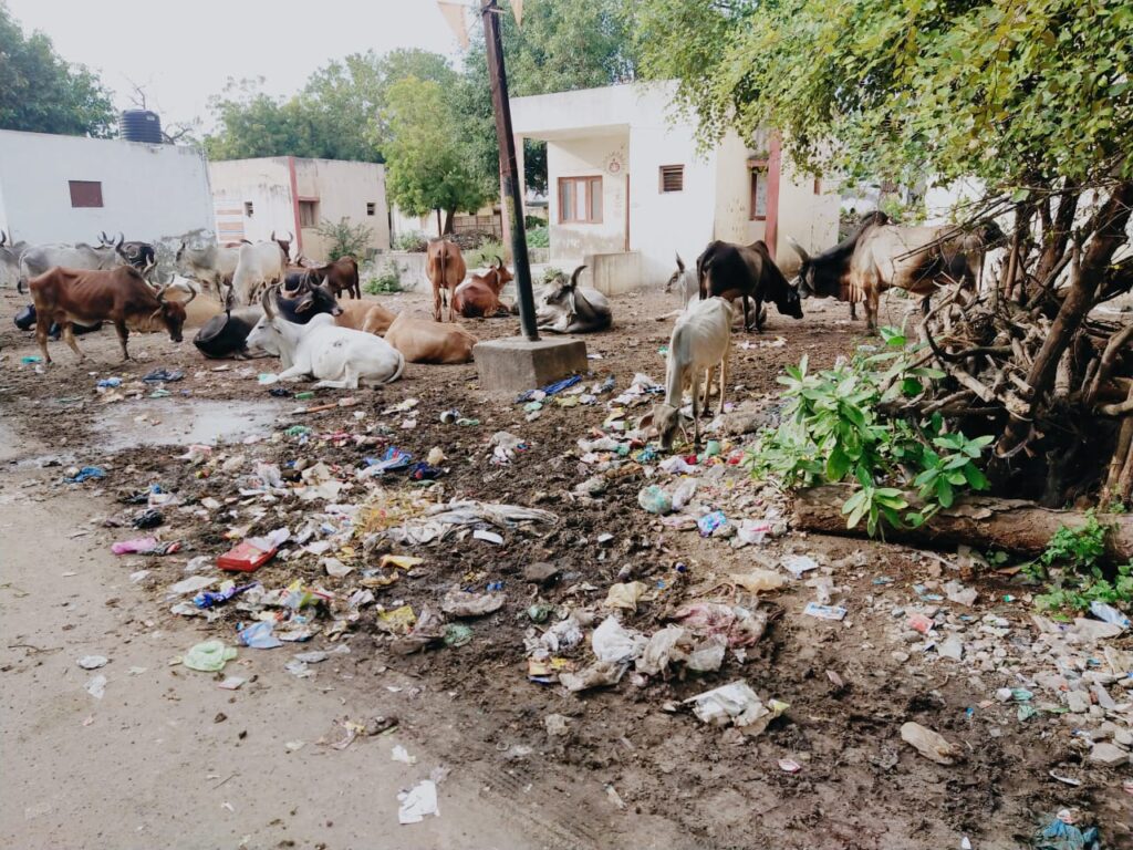 કલોલમાં સફાઈ બાબતે દુર્લક્ષ સેવવામાં આવતા રોગચાળો વકરવાનો ભય 