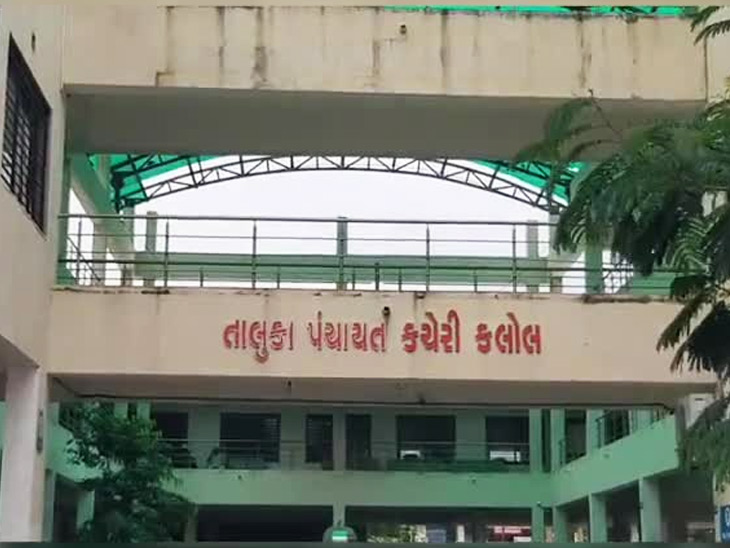 કલોલ તાલુકા પંચાયતનાં સહયોગથી અરવિંદ ફાઉન્ડેશને 1,79,300 વૃક્ષો ઉછેર્યા
