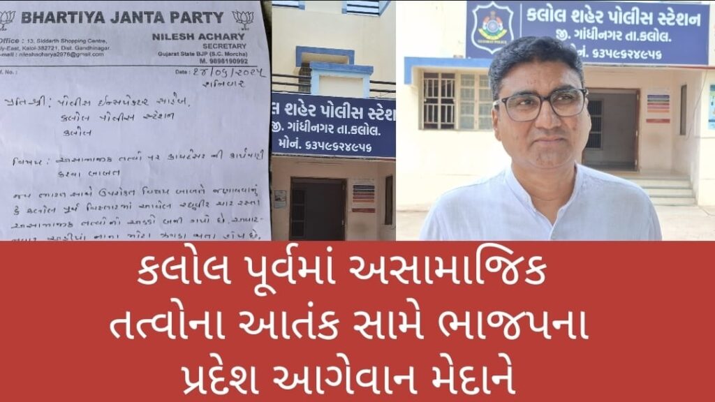 કલોલની રઘુવીર સોસાયટી આગળ અસામાજિક તત્વોનો ત્રાસને અટકાવવા પ્રદેશ ભાજપના નેતાએ કમર કસી  