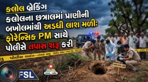 છત્રાલમાં પ્રાણીની બખોલમાં અડધી ફસાયેલી લાશ મળી, વાંચો શું છે સમગ્ર મામલો