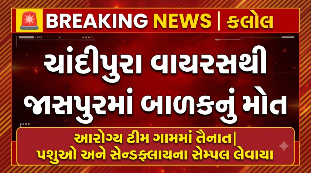 કલોલના જાસપુર ગામમાં ચાંદીપુરા વાયરસના શંકાસ્પદ લક્ષણો બાદ એક બાળકનું મૃત્યુ
