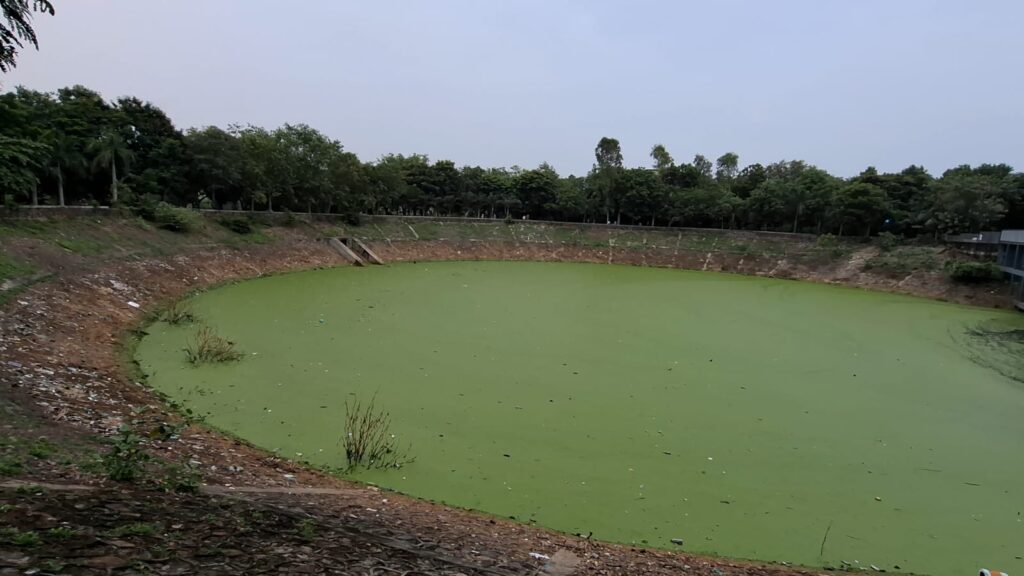 કલોલમાં શ્રાવણ માસ વચ્ચે કપિલેશ્વર તળાવની દુર્દશા: કરોડોના ખર્ચે ડેવલપ તળાવમાં ગટરના પાણી અને લીલ જામતાં રોષ